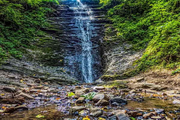bir ormandaki küçük bir şelale