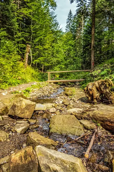 Ormanda ahşap köprü