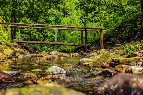 Ormandaki dereler, Karpatlar