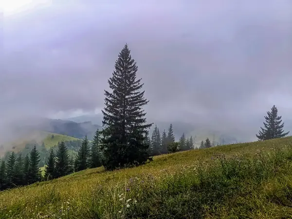 Dağları ve bulutları olan güzel bir manzara