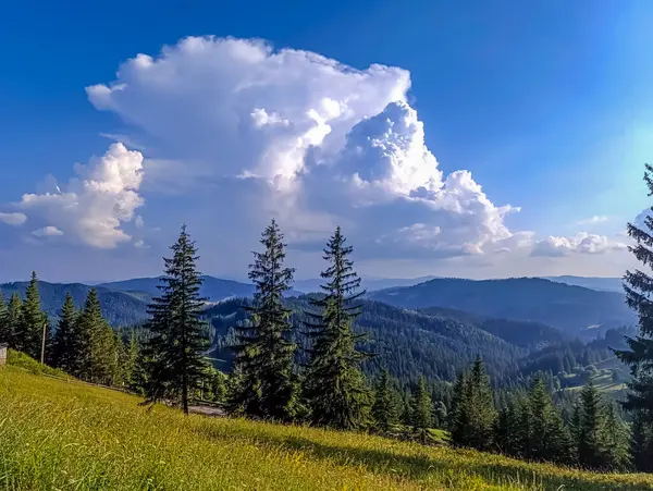 Yeşil ağaçlı yaz manzarası, mavi gökyüzü ve arka planda bulutlar