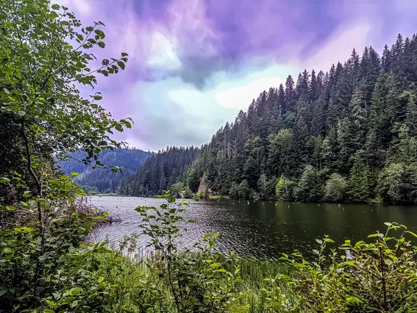 Yazın göl ve orman. Dağlardaki güzel göl