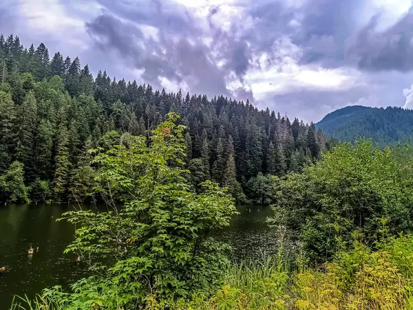 Yazın güzel göl manzarası