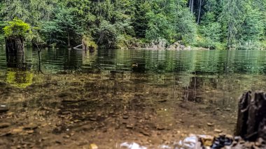 Göllü güzel bir manzara.