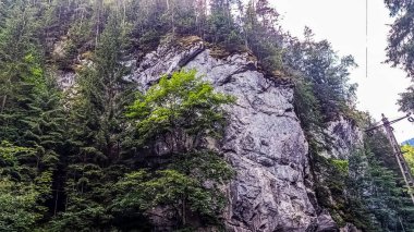 Alplerdeki güzel dağ manzarası