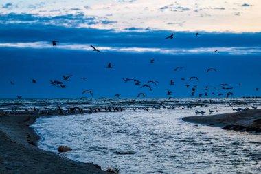 Güzel deniz manzarası