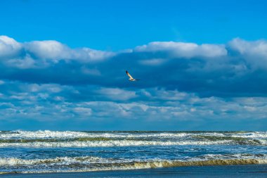 Doğanın güzel manzarası