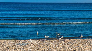 Deniz dalgaları sabah sahilde