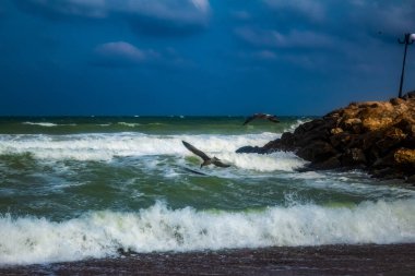 Karadeniz kıyısında fırtına bulutları.