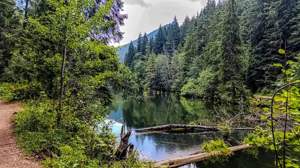 Dağlarda güzel bir göl manzarası