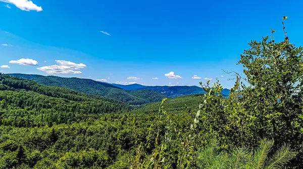 Dağların güzel manzarası