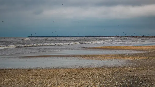 Baltık deniz kıyıları, kış ve kışın ışıldayan bir plaj. Letonya