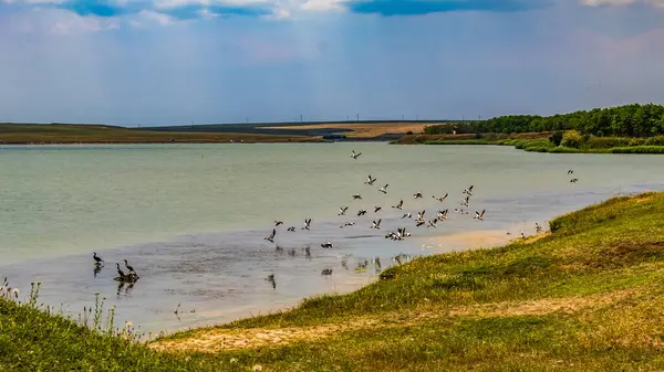 Arkasında bir göl olan güzel bir manzara.