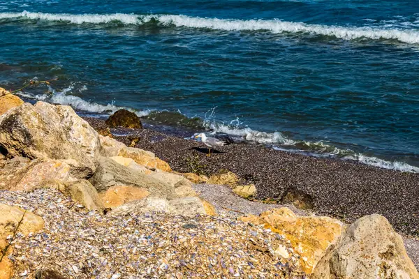 Kayalık sahilde güzel deniz dalgaları