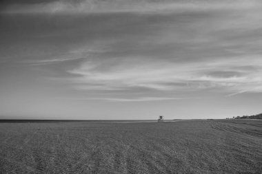 Bir tarlanın gri tonlu görüntüsü ve gökyüzünün altındaki ağaçlar.