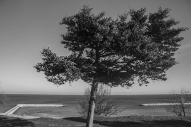 Güzel deniz ve doğa manzarası