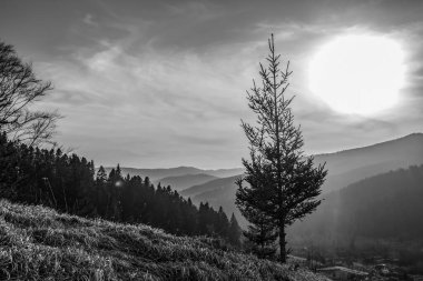 Arkasında dağlar olan güzel bir manzara.