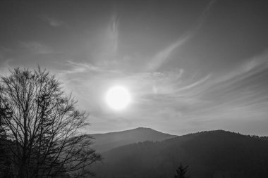 Dağlarla, ağaçlarla ve karla kaplı kış manzarası. siyah ve beyaz