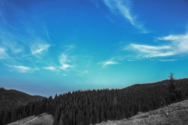 Dağlarda dağları olan güzel bir manzara.