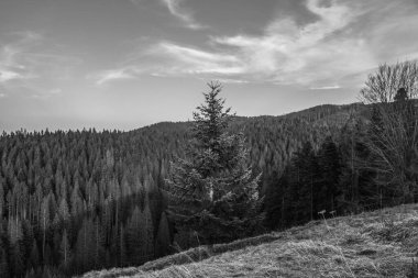 Dağlardaki siyah ve beyaz manzaralar