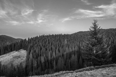 Karpatların güzel dağları