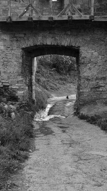 Siyah beyaz dar bir köprünün dikey görüntüsü.