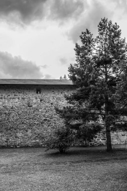 Ormandaki eski kale duvarı