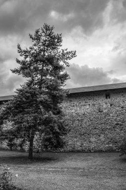 Kalenin arka planındaki bir ağacın siyah ve beyaz görüntüsü