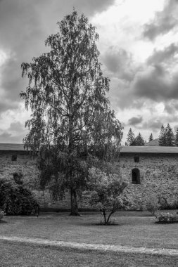 Ormandaki bir köyde eski bir taş kale.