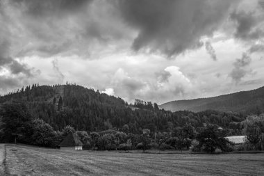 Dağlarda siyah beyaz bulutlar ve ağaçlar