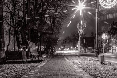 Geceleyin yılbaşı ağacı ve arka planda ışıklar..