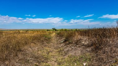 Baharda çim tarlası olan bir manzara.