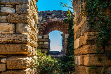 Roma Forumunun Harabeleri