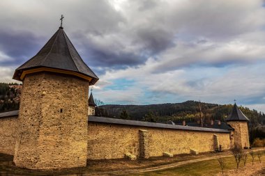Ormanda kilisesi olan ahşap bir kilise. yüksek kaliteli fotoğraf