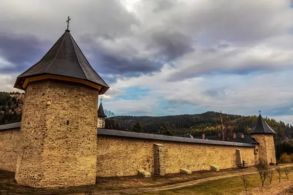 Ormanda kilisesi olan ahşap bir kilise. yüksek kaliteli fotoğraf