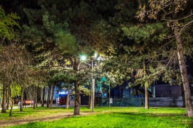 Şehir parkının gece manzarası