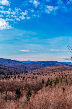 Kuzey Carolina 'daki Blue Ridge Dağları
