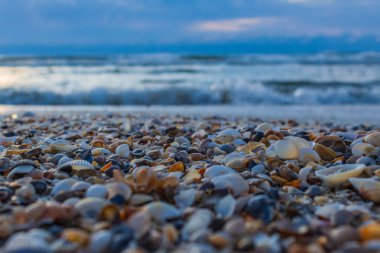 Kumsalda deniz taşları