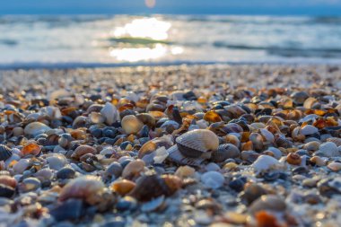 Kumsalda çakıl taşları