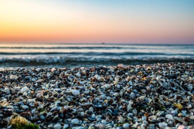 Sahilde deniz kabukları gün batımında