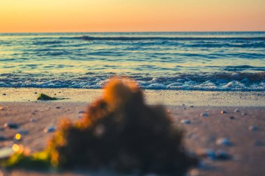 Denizde güzel bir gün batımı