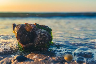 mujer en estilo de invierno