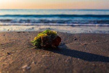 Sahilde güzel bir gün batımı