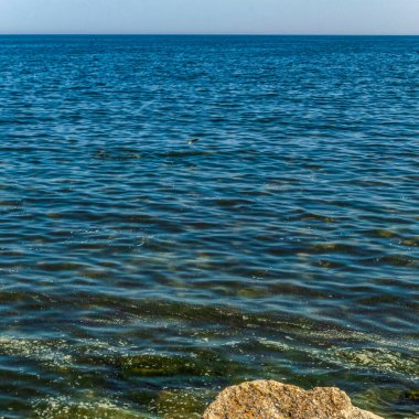 Deniz kıyısında dalgaları ile