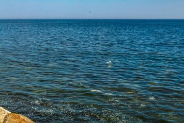 Deniz kıyısının güzel manzarası