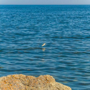 Deniz kıyısı ve dalgalar.