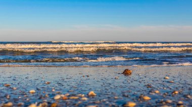 Deniz kıyısının güzel manzarası