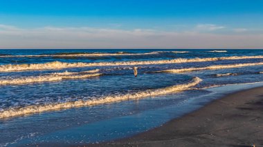 Letonya 'da deniz plajı ve dalgalar,