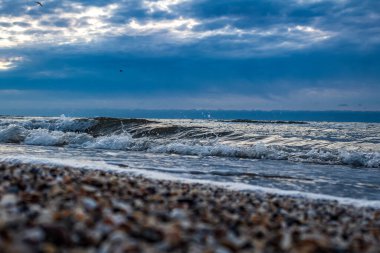 Sahildeki deniz dalgaları