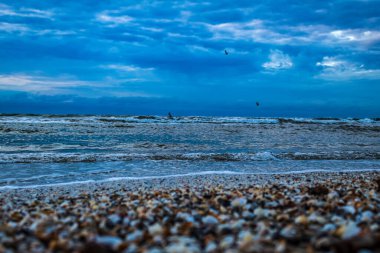 Dalgalar sahile vurdu.